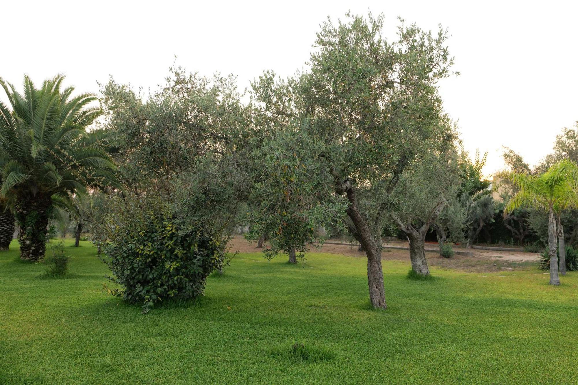 Tenuta Ricco With Pool And Garden Cursi Eksteriør bilde